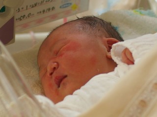 生まれました！