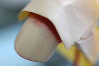 フロントフェンダー