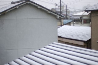 3年ぶりの積雪です。
